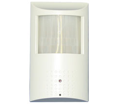 Motion Detector Camera
